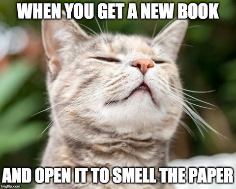 Cats and Books: A Love Story, in Memes