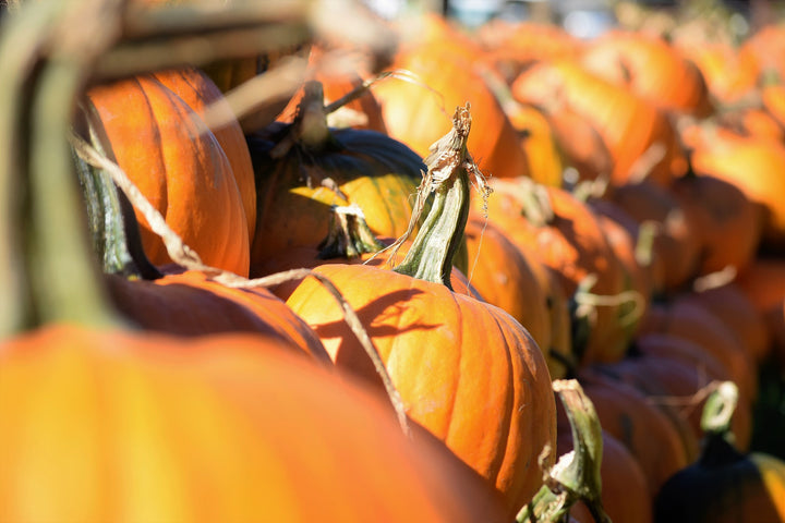 pumpkin pie challenge